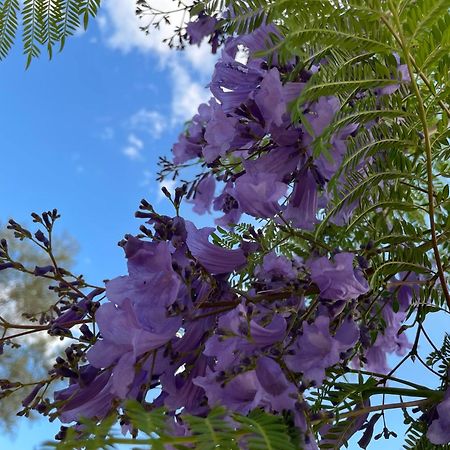 Finca Valle Verde アロラ エクステリア 写真