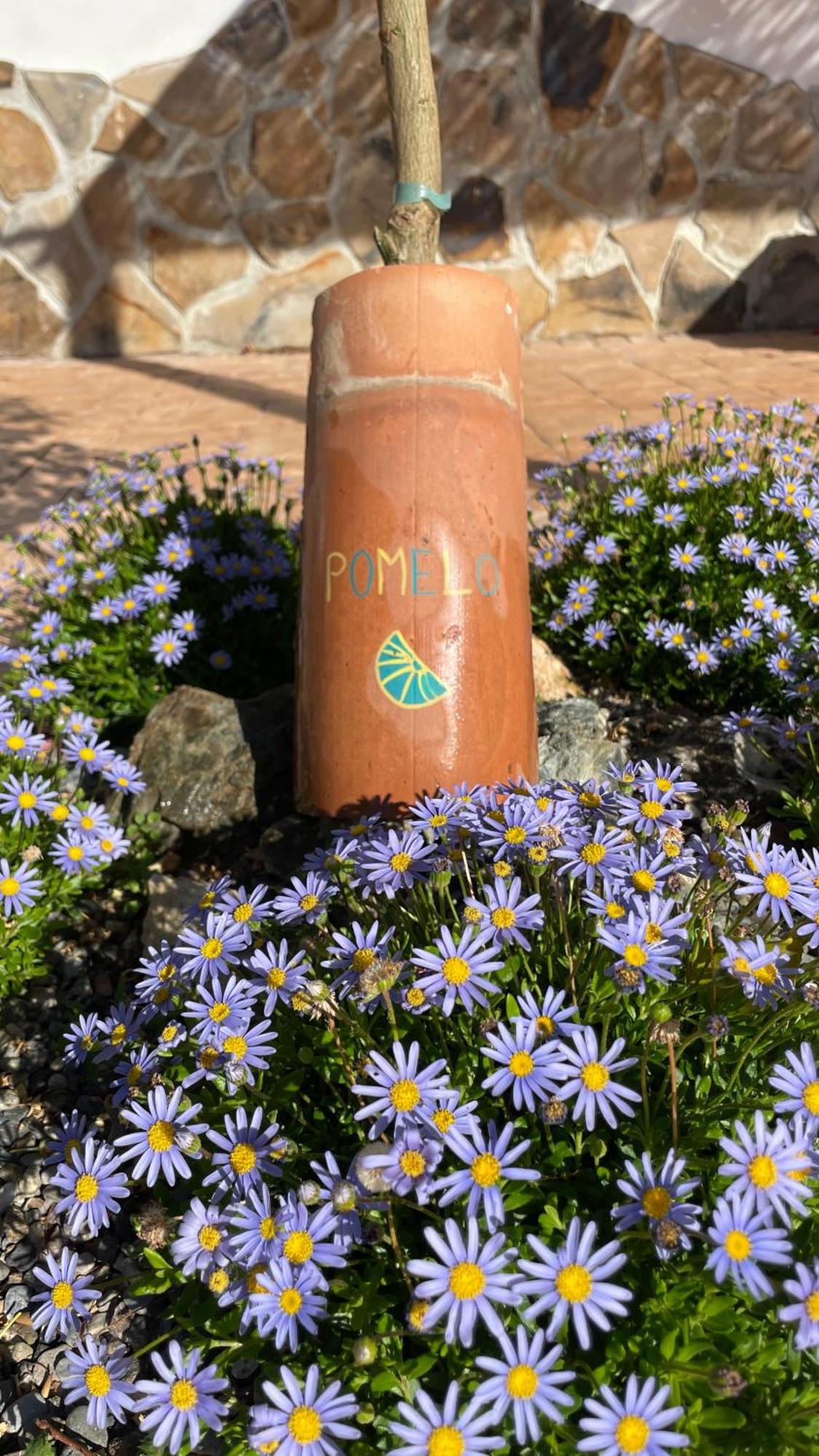 Finca Valle Verde アロラ エクステリア 写真