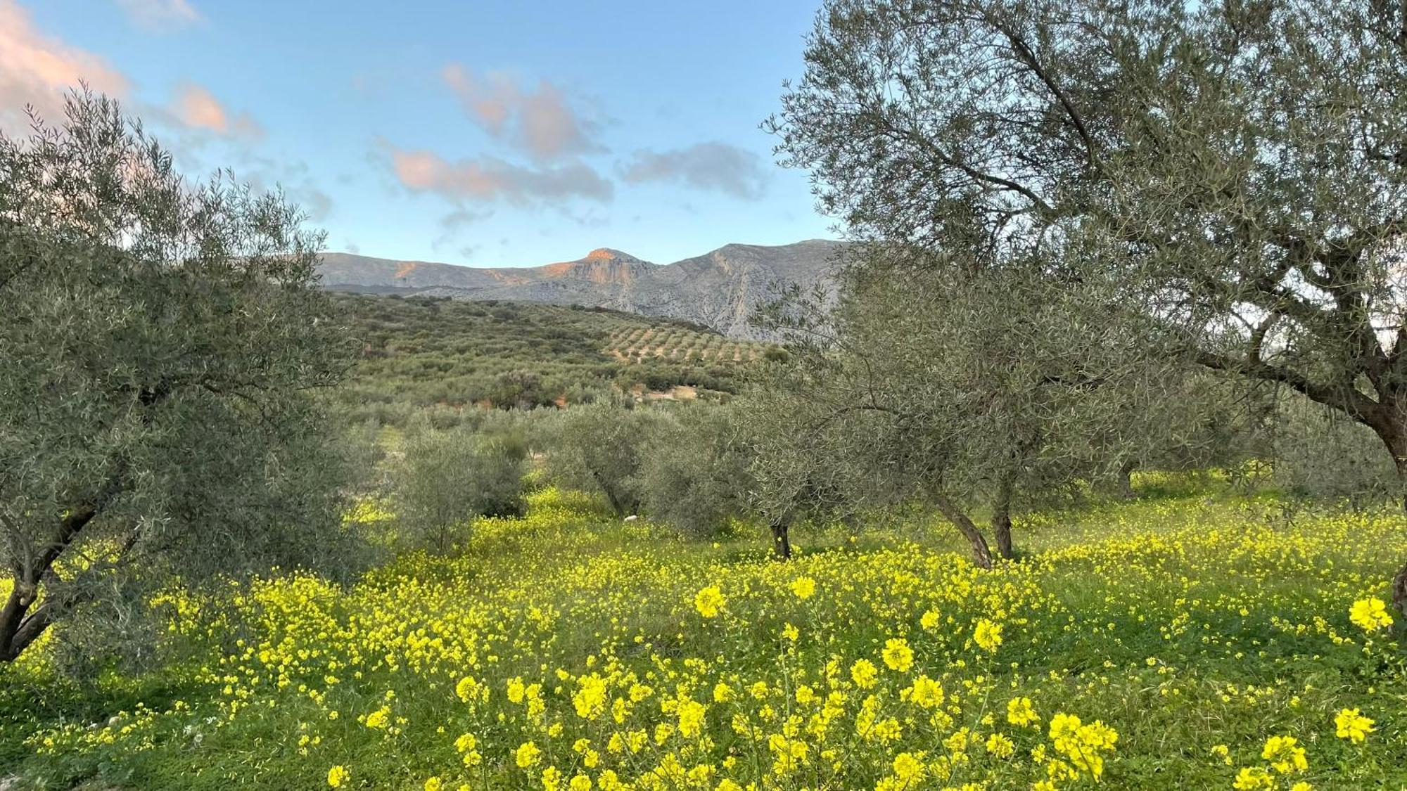 Finca Valle Verde アロラ エクステリア 写真