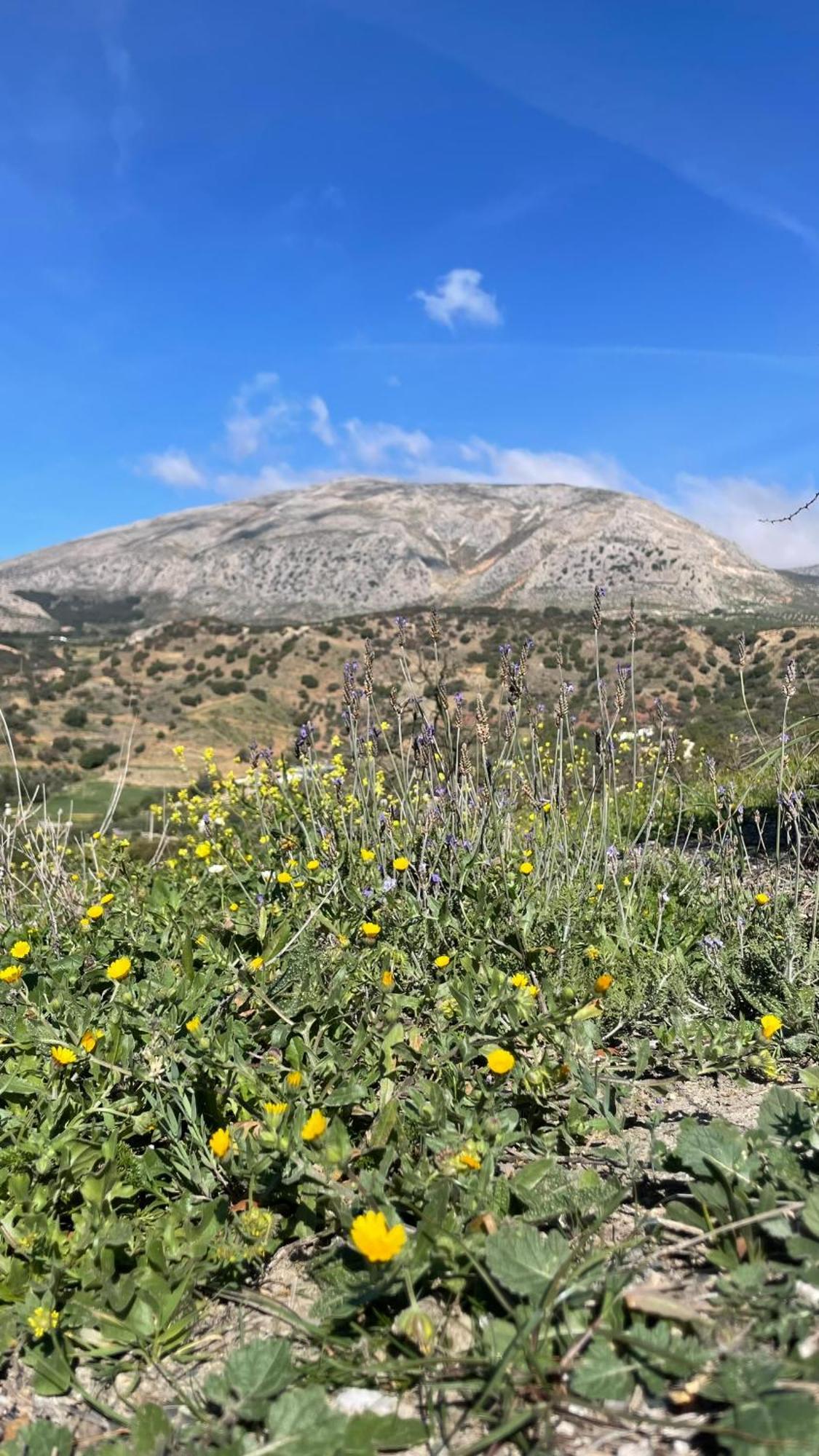 Finca Valle Verde アロラ エクステリア 写真