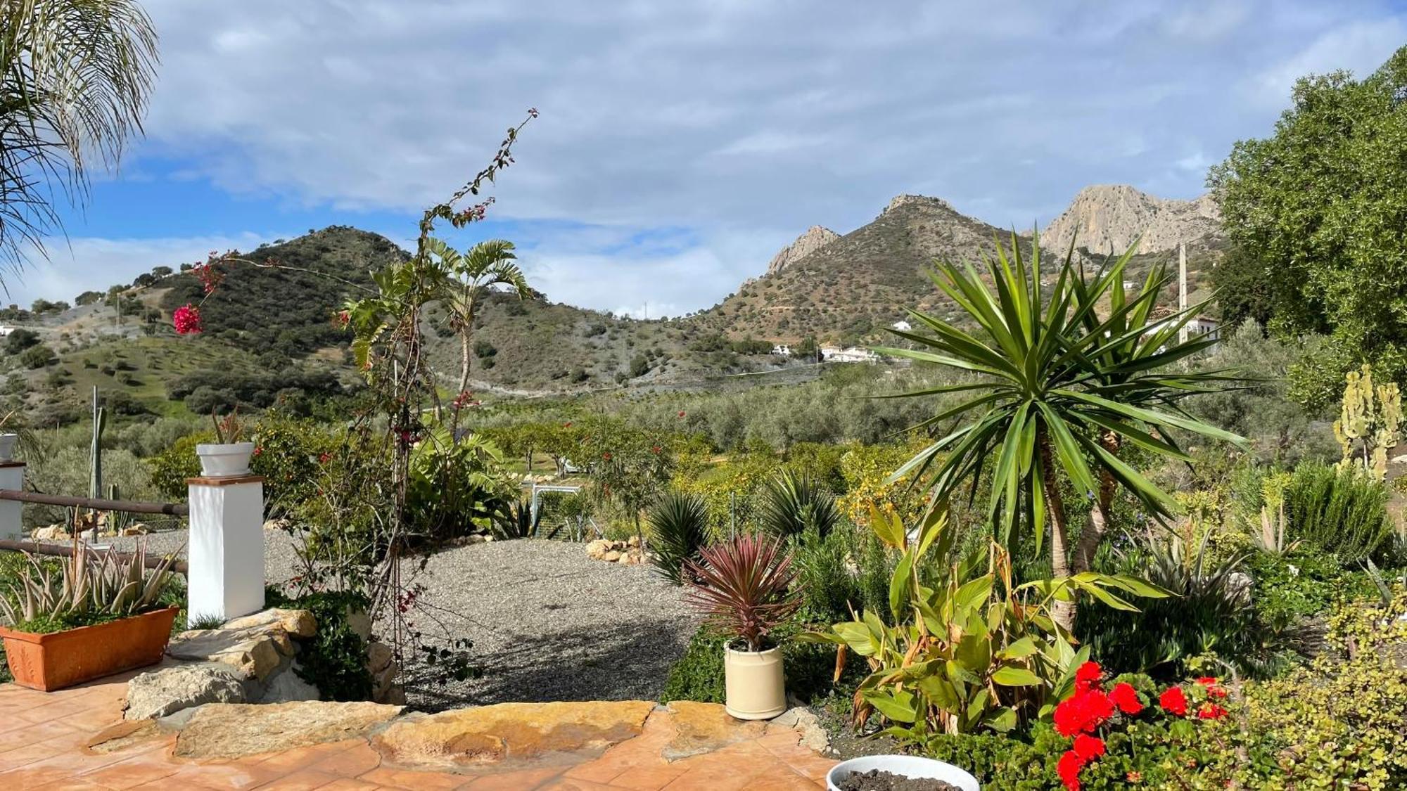 Finca Valle Verde アロラ エクステリア 写真