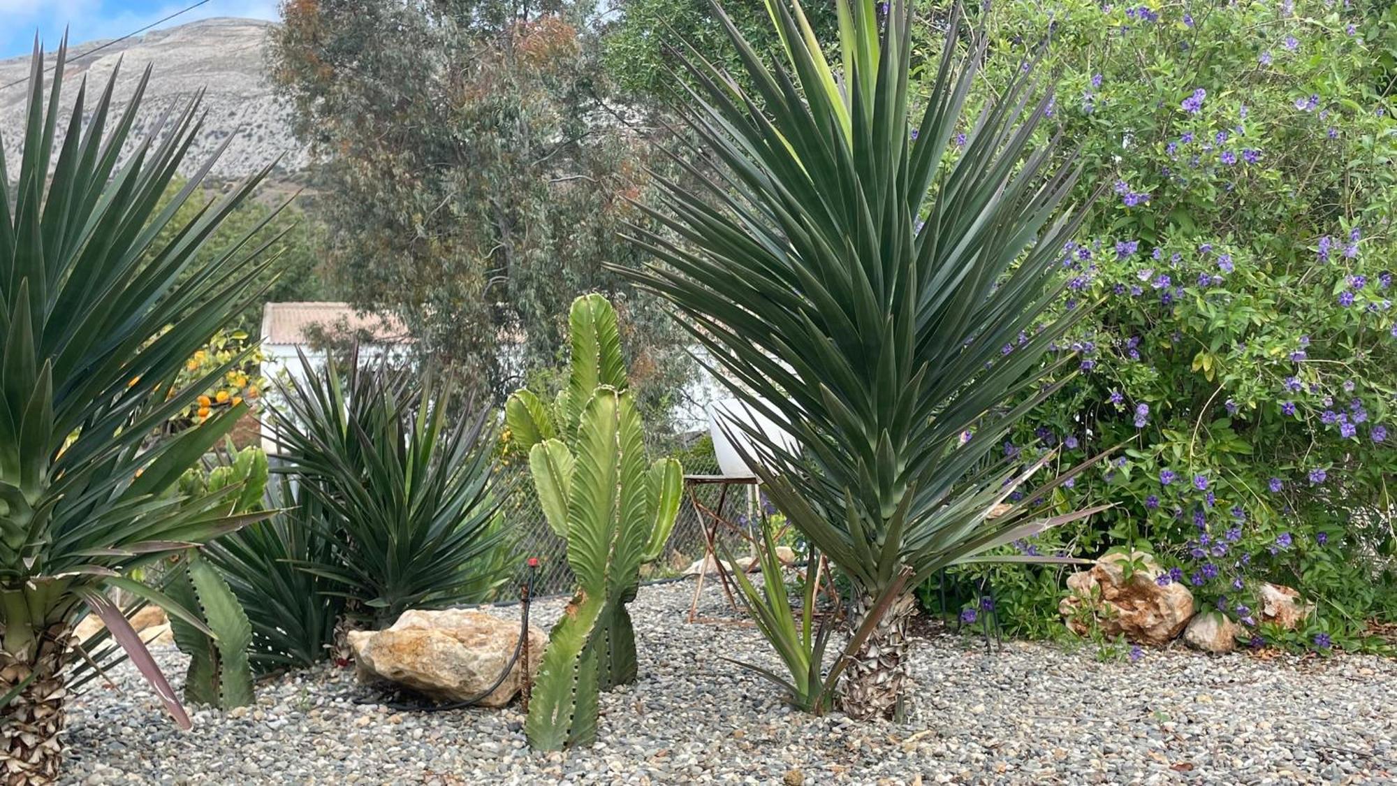 Finca Valle Verde アロラ エクステリア 写真