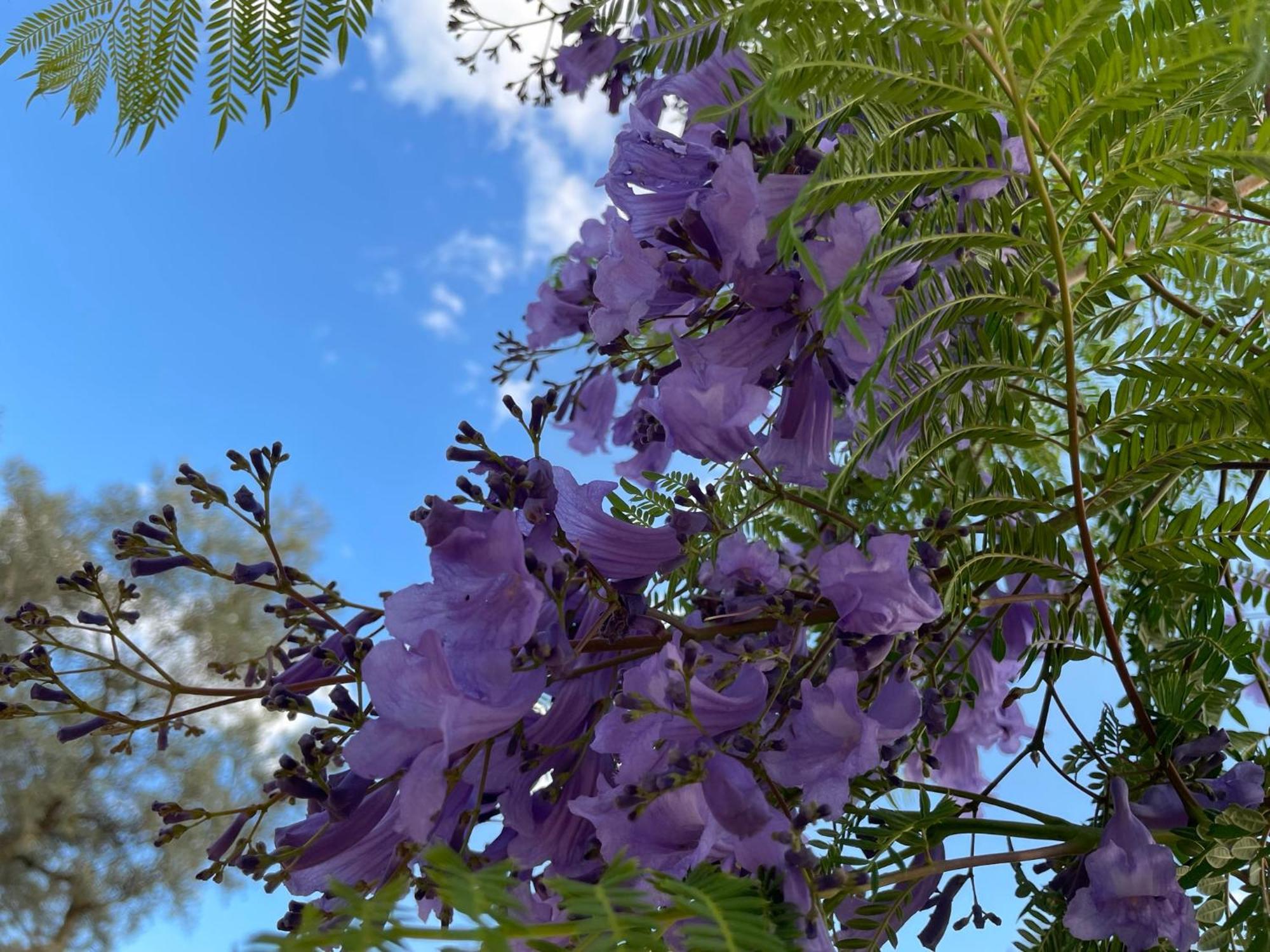 Finca Valle Verde アロラ エクステリア 写真
