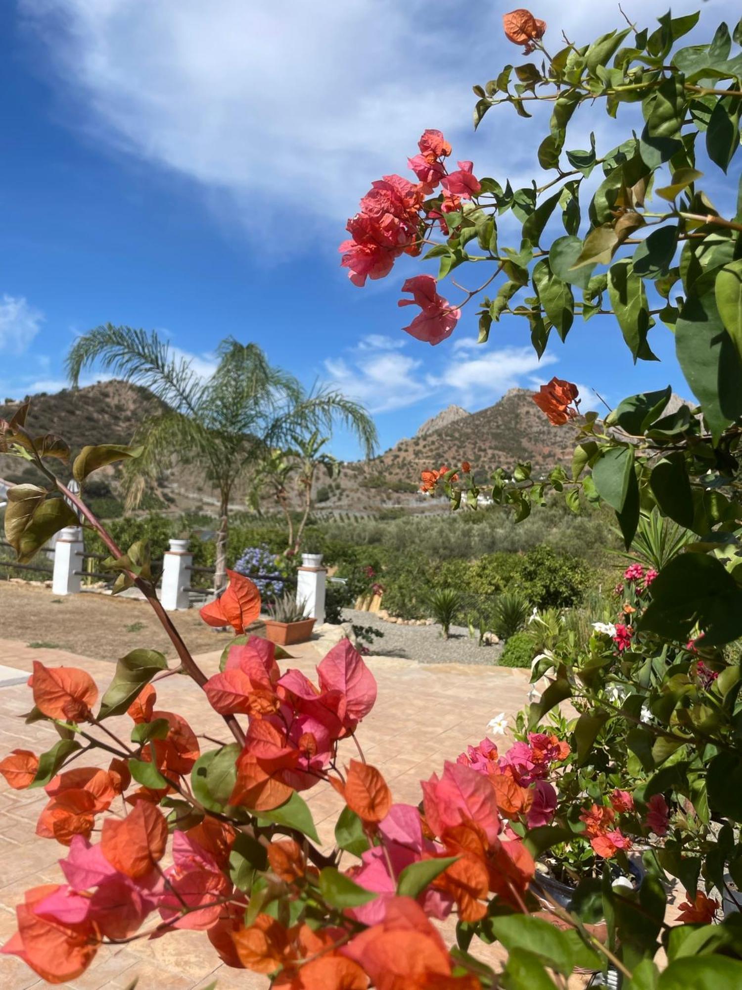 Finca Valle Verde アロラ エクステリア 写真