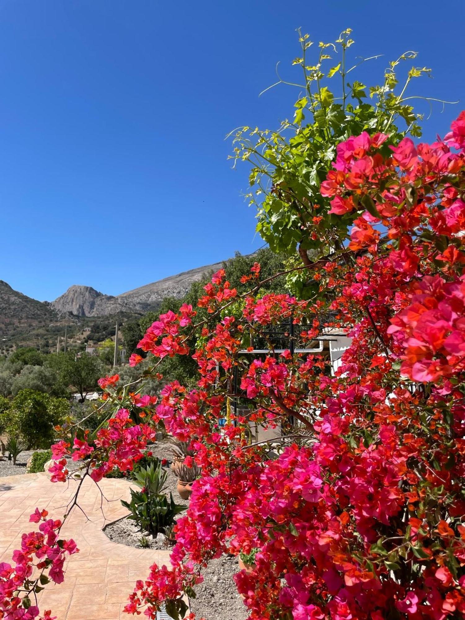 Finca Valle Verde アロラ エクステリア 写真