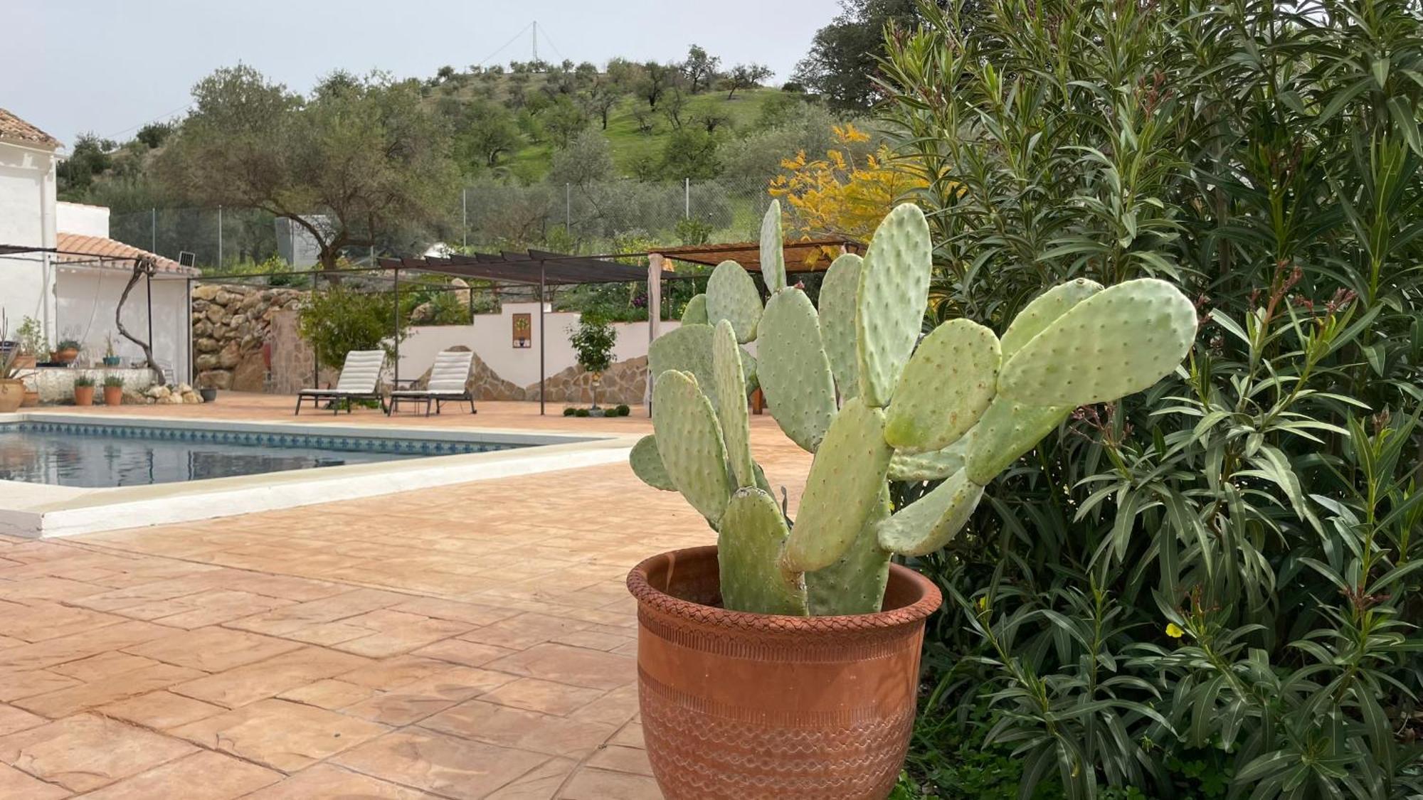 Finca Valle Verde アロラ エクステリア 写真