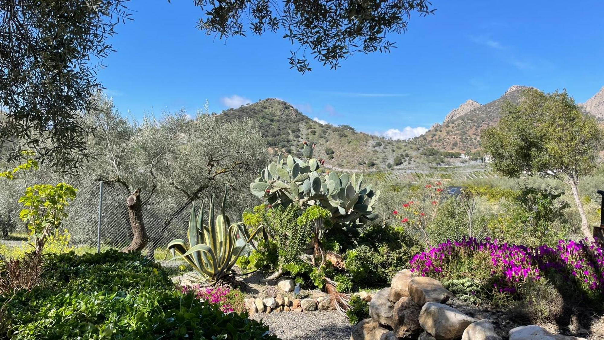 Finca Valle Verde アロラ エクステリア 写真