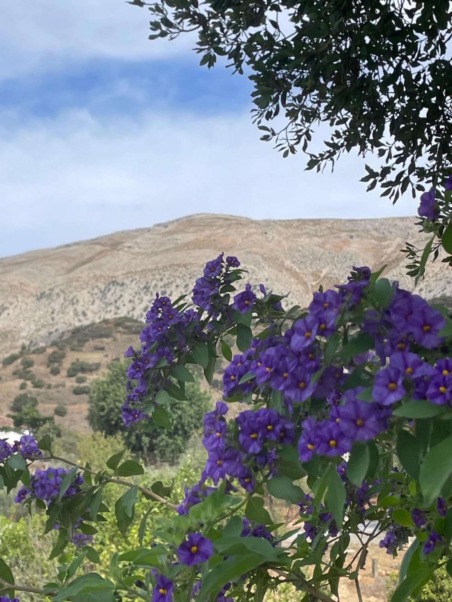Finca Valle Verde アロラ エクステリア 写真