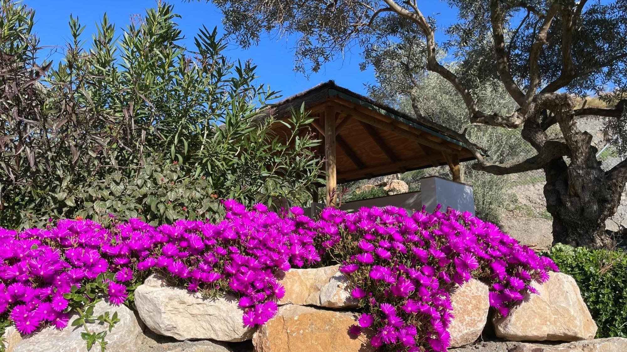Finca Valle Verde アロラ エクステリア 写真